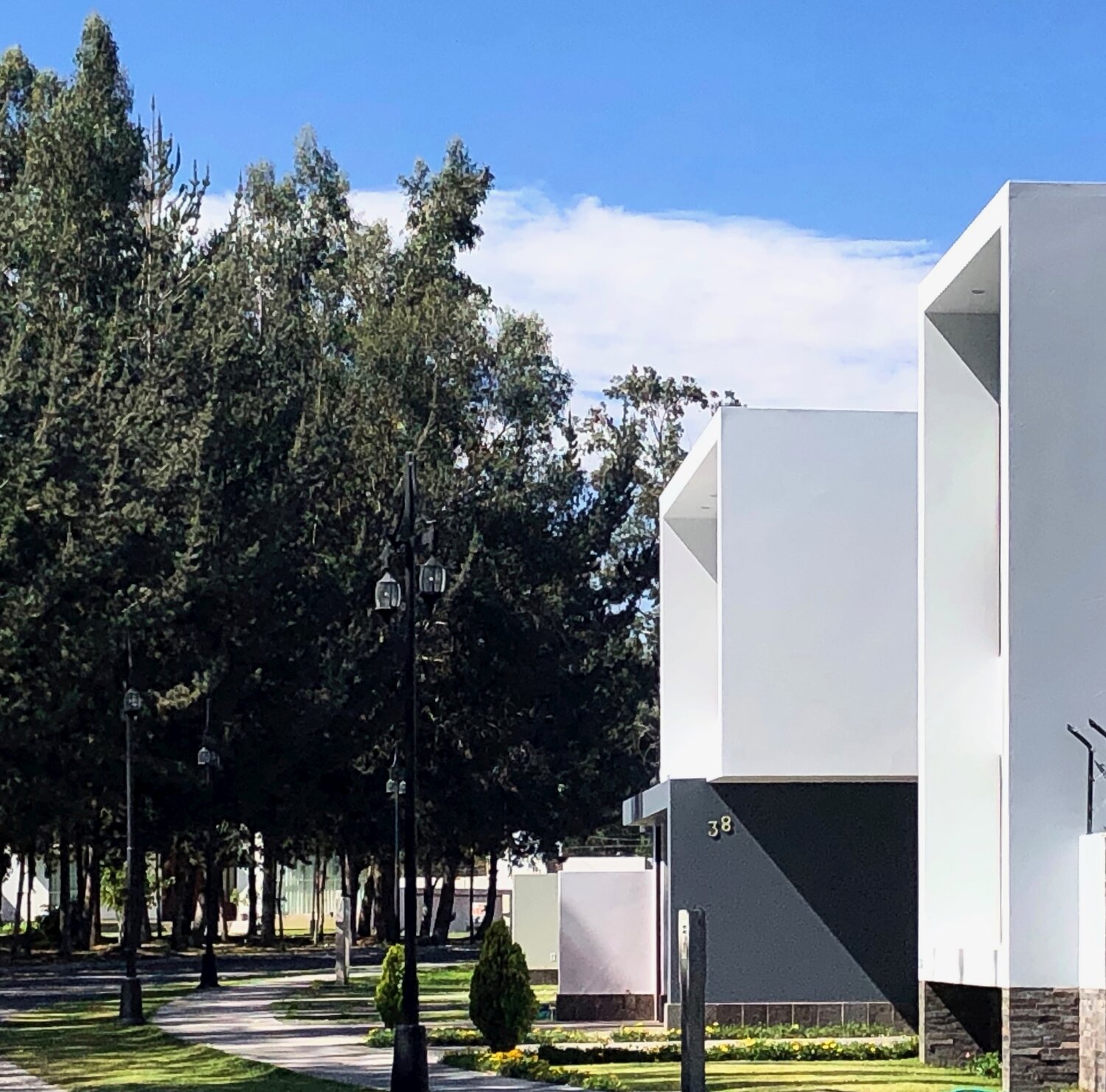 Casa M